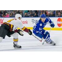 Toronto Marlies vs. Chicago Wolves