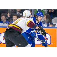Toronto Marlies vs. Chicago Wolves