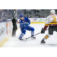 Toronto Marlies vs. Chicago Wolves