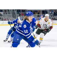 Toronto Marlies vs. Chicago Wolves