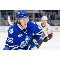 Toronto Marlies vs. Chicago Wolves