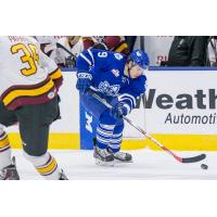 Toronto Marlies vs. Chicago Wolves