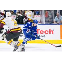 Toronto Marlies vs. Chicago Wolves
