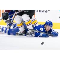Toronto Marlies vs. Chicago Wolves
