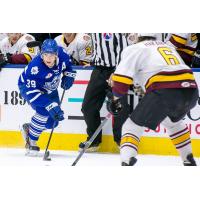 Toronto Marlies vs. Chicago Wolves