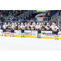 Toronto Marlies vs. Chicago Wolves