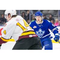 Toronto Marlies vs. Chicago Wolves