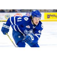 Toronto Marlies vs. Chicago Wolves