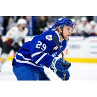 Toronto Marlies vs. Chicago Wolves