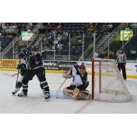 Florida Everblades vs. Reading Royals