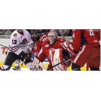 Grand Rapids Griffins Goalie Tom McCollum vs. the Rockford IceHogs