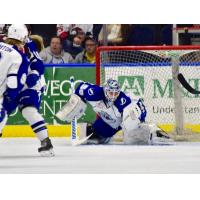 Syracuse Crunch vs. Binghamton Senators