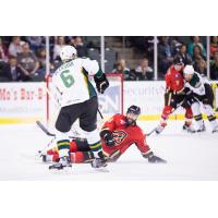 Texas Stars vs. Adirondack Flames