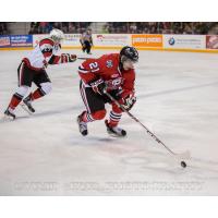 Niagara IceDogs vs. Ottawa 67's