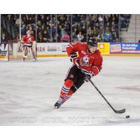 Niagara IceDogs vs. Ottawa 67's