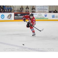 Niagara IceDogs vs. Ottawa 67's