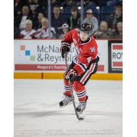 Niagara IceDogs vs. Ottawa 67's