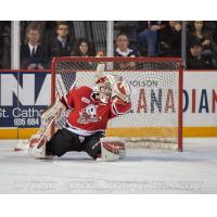 Niagara IceDogs vs. Ottawa 67's