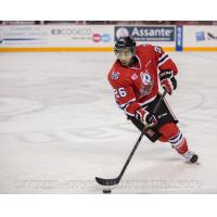 Niagara IceDogs vs. Ottawa 67's