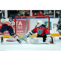 Tri-City Americans vs. Kelowna Rockets