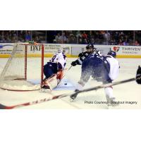 Kalamazoo Wings Goaltender Joel Martin