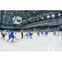 Toronto Marlies vs. Chicago Wolves