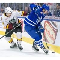 Toronto Marlies vs. Chicago Wolves