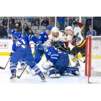 Toronto Marlies vs. Chicago Wolves
