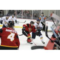 Indy Fuel vs. Toledo Walleye