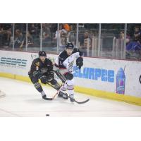Quad City Mallards vs. Brampton Beast