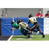 Jordan Jolly of the Nashville Venom Scores against Lehigh Valley