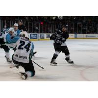 Idaho Steelheads vs. Alaska Aces