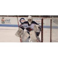 Jeff Jakaitis of the South Carolina Stingrays