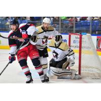 Wilkes-Barre/Scranton Penguins vs. Hartford Wolf Pack