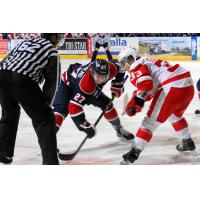 Saginaw Spirit vs. Sault Ste. Marie Game 3