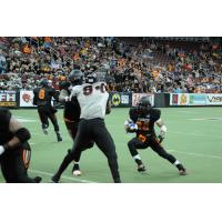 Wichita Force in Action
