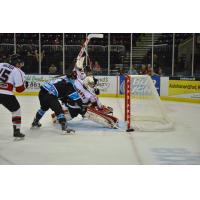 Corpus Christi IceRays Goaltender Ludvig Larsson