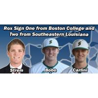 Latest Rox Signings