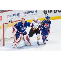 Hamilton Bulldogs vs. Chicago Wolves