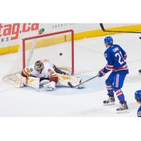 Hamilton Bulldogs vs. Chicago Wolves