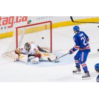 Chicago Wolves vs. Hamilton Bulldogs