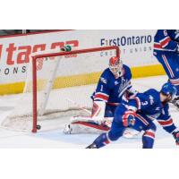 Chicago Wolves vs. Hamilton Bulldogs