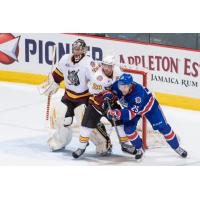 Chicago Wolves vs. Hamilton Bulldogs