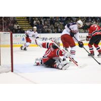 Springfield Falcons vs. Albany Devils
