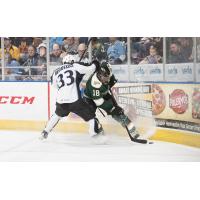 Texas Stars vs. Milwaukee Admirals