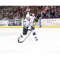 Iowa Wild vs. Rochester Americans