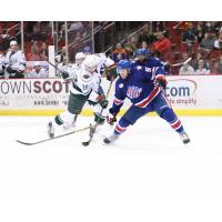 Iowa Wild vs. Rochester Americans