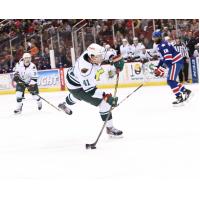 Iowa Wild vs. Rochester Americans