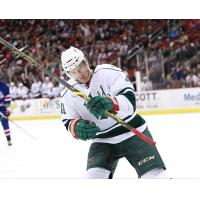 Iowa Wild vs. Rochester Americans
