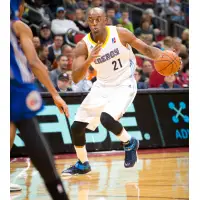 Damien Wilkins of the Iowa Energy